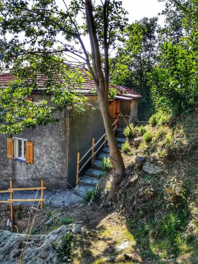 فاراتسي Berzuaia Bed & Breakfast المظهر الخارجي الصورة