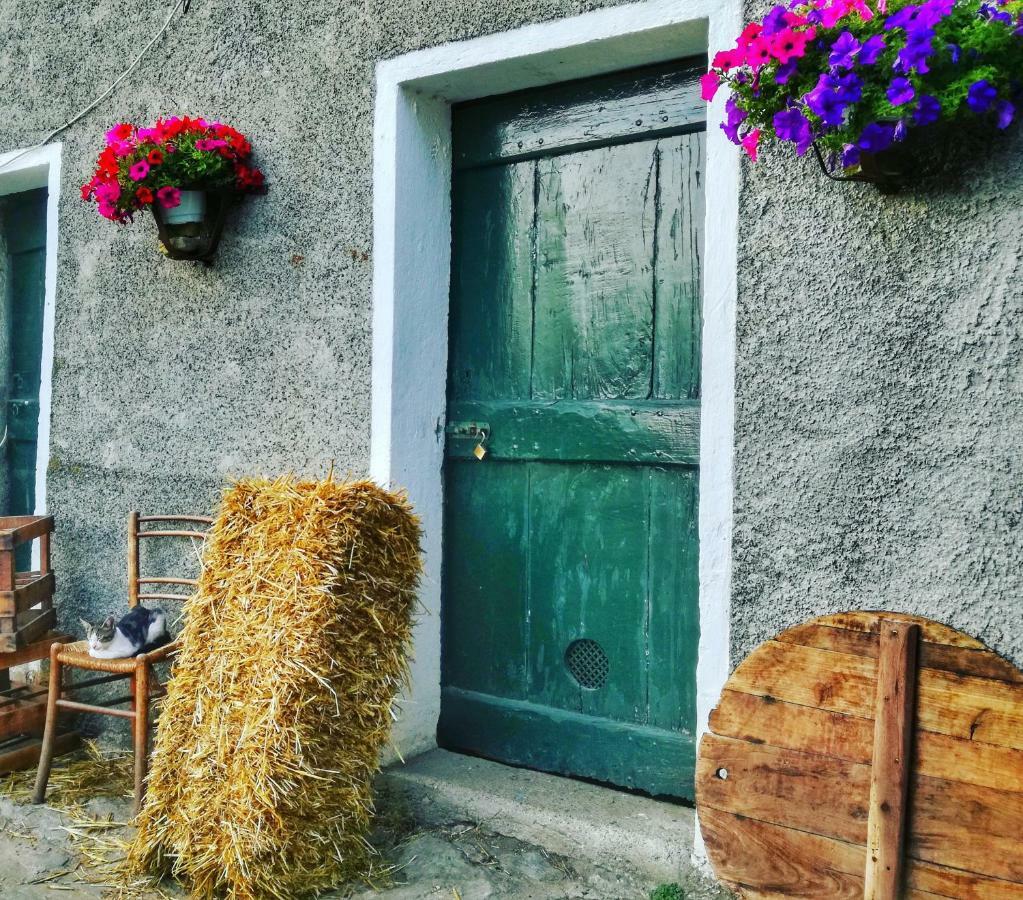 فاراتسي Berzuaia Bed & Breakfast المظهر الخارجي الصورة
